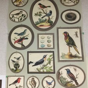 Meet your Posher, Dane